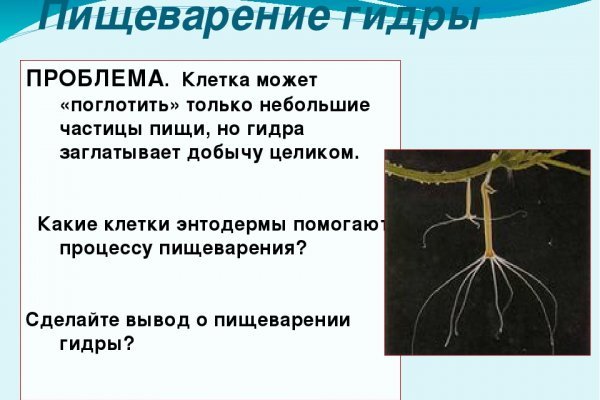 Kraken online