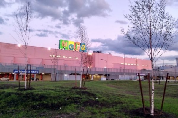 Кракен ссылка trikky