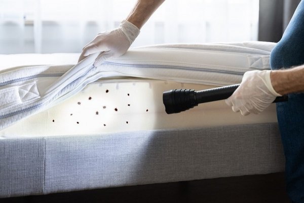 Оптимальные подход к krab1.at