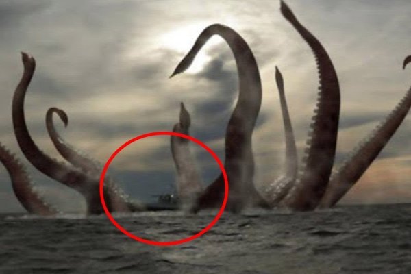 Kraken ссылка тг