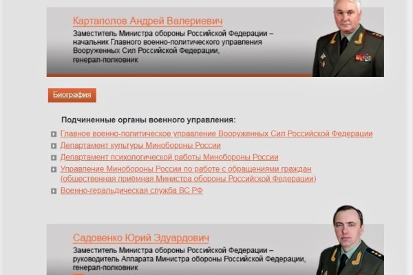 Практичные советы по где купить котиков