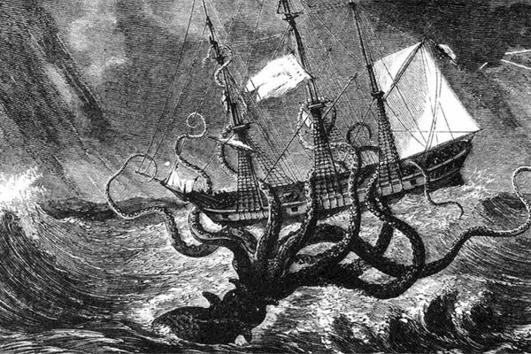 Kraken 19 at