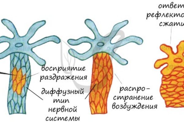 Кракен ссылка на тор официальная онион