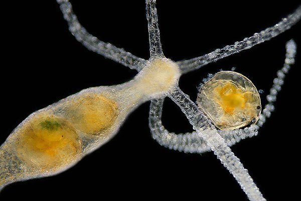 Качественный доступ кракен маркетплейс ссылка