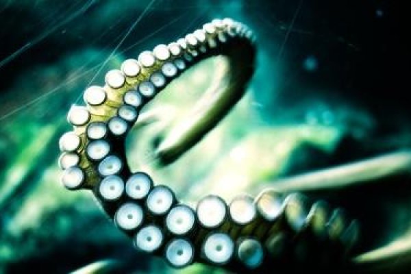 Kraken ссылка krakentor site