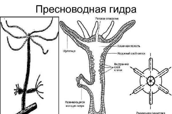 Свежие ссылки кракен